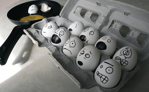 stressed out eggs